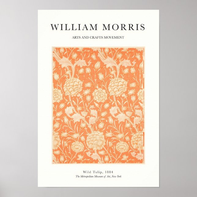 Orangene Tulpe Poster (Vorne)