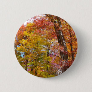 Orangene und gelbe Herbstbäume Herbstfotografie Button