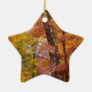 Orangene und gelbe Herbstbäume - Herbstfotografie Keramikornament