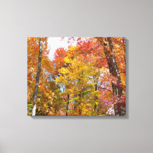 Orangene und gelbe Herbstbäume Herbstfotografie Leinwanddruck