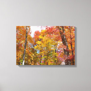 Orangene und gelbe Herbstbäume Herbstfotografie Leinwanddruck