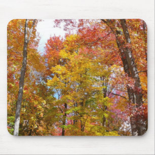 Orangene und gelbe Herbstbäume Herbstfotografie Mousepad