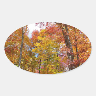 Orangene und gelbe Herbstbäume Herbstfotografie Ovaler Aufkleber