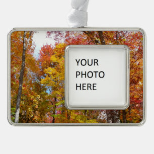Orangene und gelbe Herbstbäume Herbstfotografie Rahmen-Ornament Silber