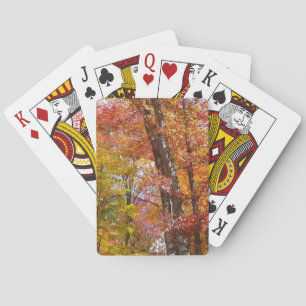 Orangene und gelbe Herbstbäume - Herbstfotografie Spielkarten