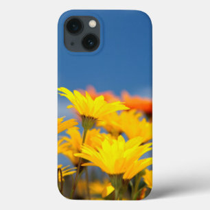 Orangene und gelbe Namaqualand-Märzenbecher Case-Mate iPhone Hülle