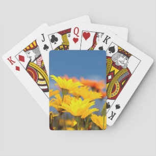 Orangene und gelbe Namaqualand-Märzenbecher Spielkarten