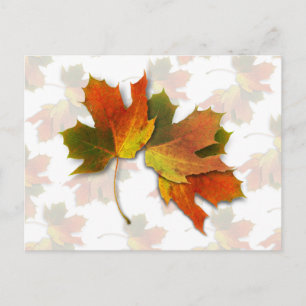 Orangene und goldene Herbstblätter Postkarte