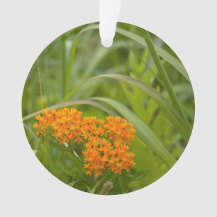Orangene Wildblumen-Verzierung Ornament