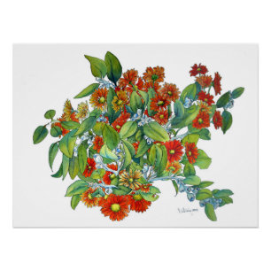 Orangener Daisy Druck