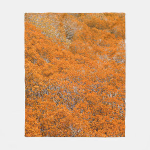 Orangener Wald Blick. Orangener Blatt Hintergrund. Fleecedecke