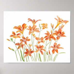 Orangenfarbe der Taglilie Poster