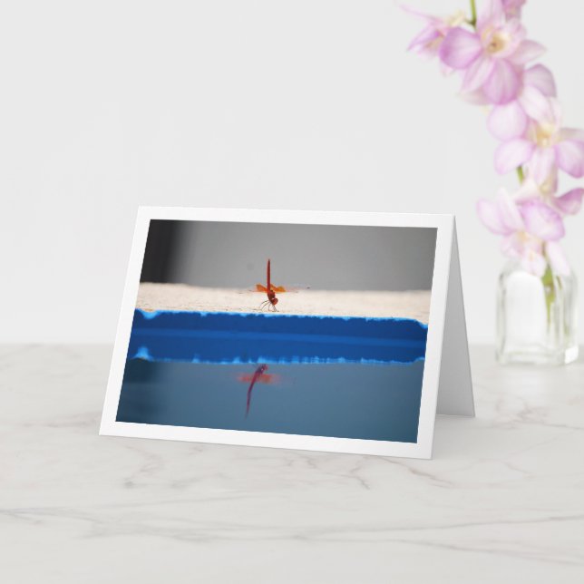 Orangenflügge Karte (Orchidee)