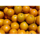 Orangenfrucht Florida Markt Orange Fotoskulptur Magnet<br><div class="desc">Florida Orangen, frisch vom Markt, sind das perfekte Thema für ein buntes Geschenk! Diese Orange hebt sich ab. Schließlich sind sie sehr "orange"! Die Orange ist ein perfektes Fruchtsaft für den kleinen Hunger zwischendurch und ist ein hübsches Geschenk für orangefarbene Bauer, Restaurants, die mit Orangen kochen, und nur für alle,...</div>