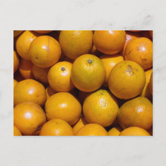 Orangenfrucht Florida Markt Orange Postkarte