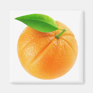 Orangenfrucht Magnet