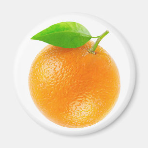 Orangenfrucht Magnet