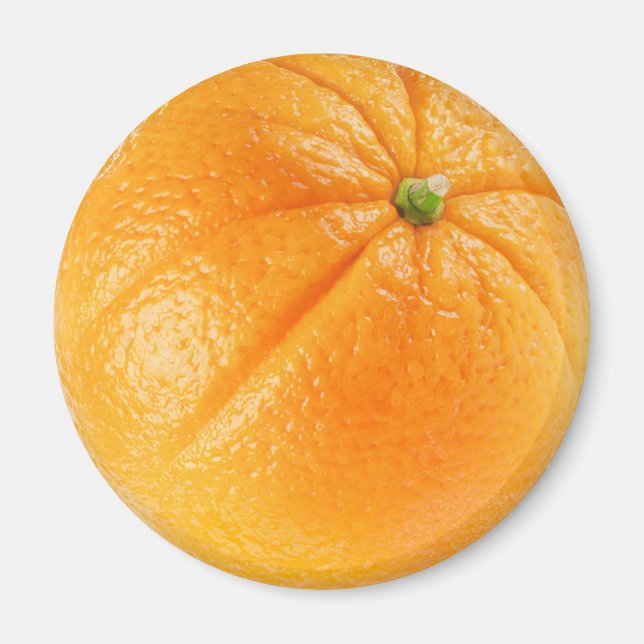 Orangenfrucht Magnet (Vorne)