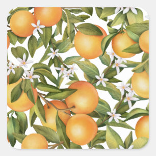 Orangenfrucht und Orangenblüten Quadratischer Aufkleber