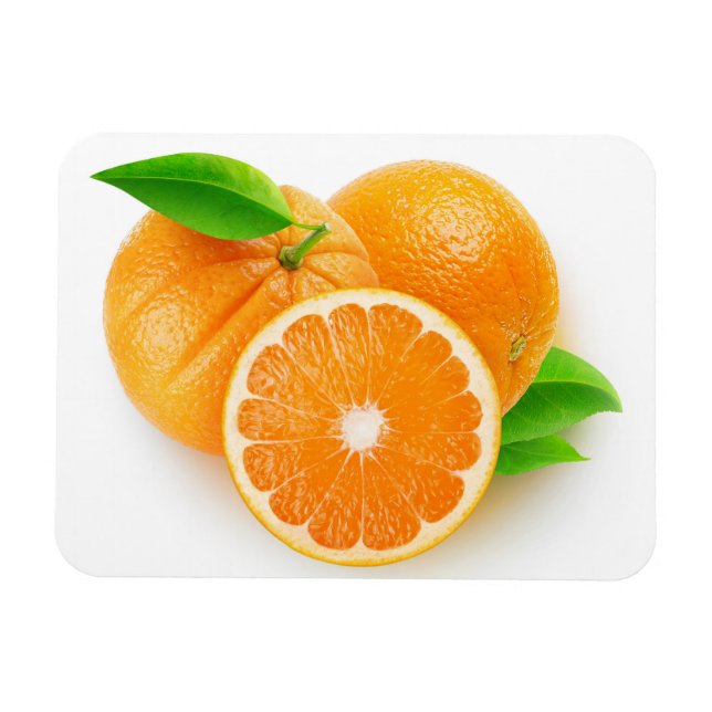 Orangenfrüchte Magnet (Horizontal)