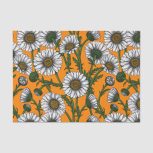 Orangenfrüchte Seidenpapier
