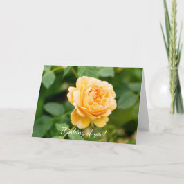 Orangengelbe Rose Karte