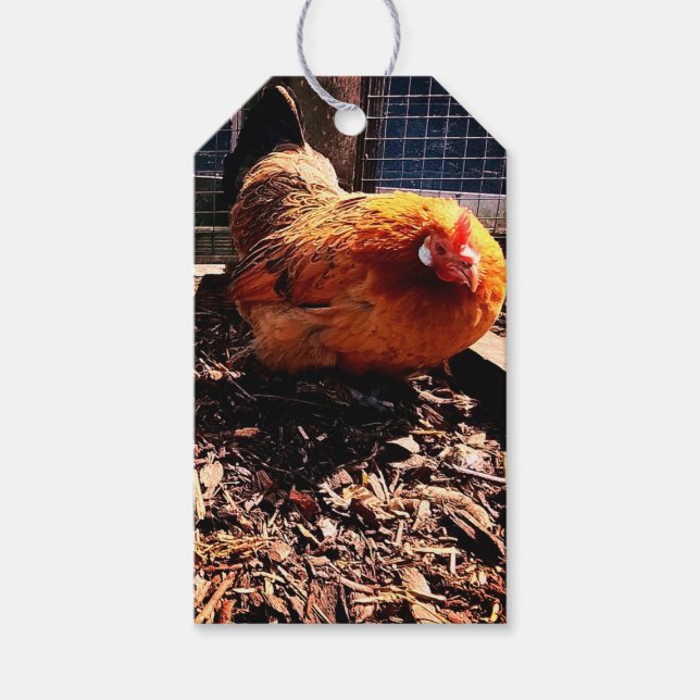 Orangenhahn Geschenkanhänger (Vorderseite)