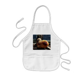 Orangenhahn Kinderschürze