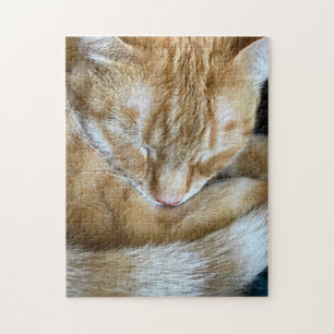 Orangenkatze Puzzle