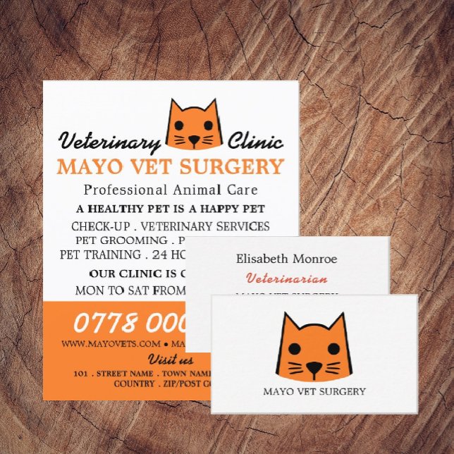 Orangenkatze, Tierarzt, Veterinärdienst Flyer (Von Creator hochgeladen)