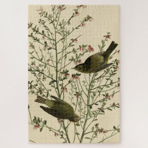 Orangenkrönter Warbler, Audubons Vögel von Amerika Puzzle