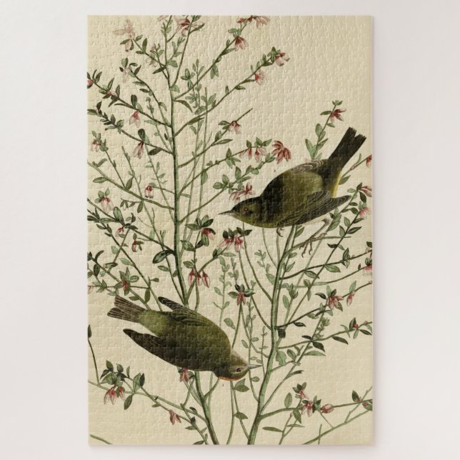 Orangenkrönter Warbler, Audubons Vögel von Amerika Puzzle (Vertikal)