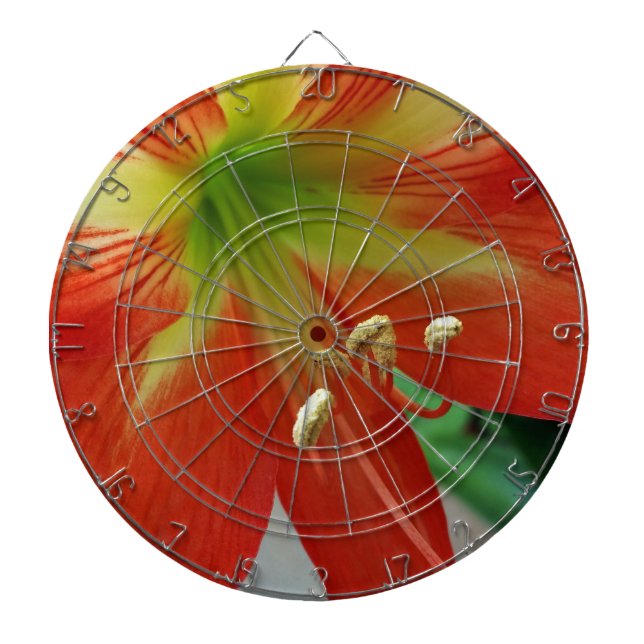 Orangenlilie Dartscheibe (vorne)