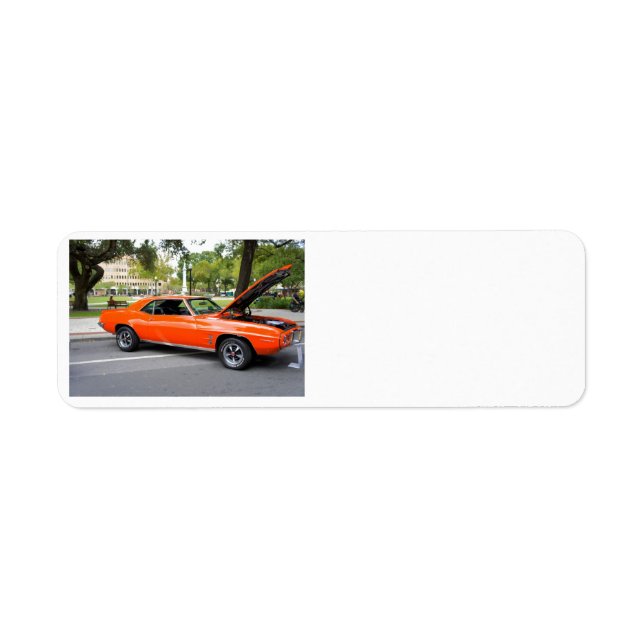 Orangenmuskel (Vorne)