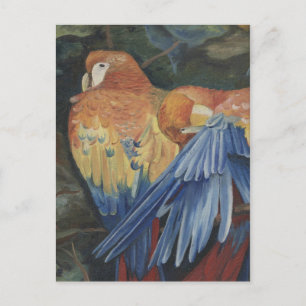 Orangenpaprika Postkarte