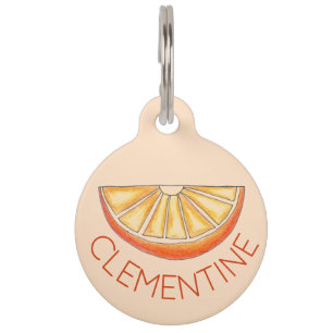 OrangensaftCitrus Fruit Slice, frisch gepresst Haustiermarke