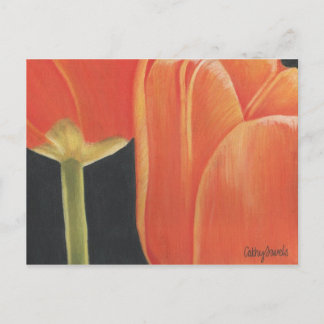 Orangenschlauch Postkarte