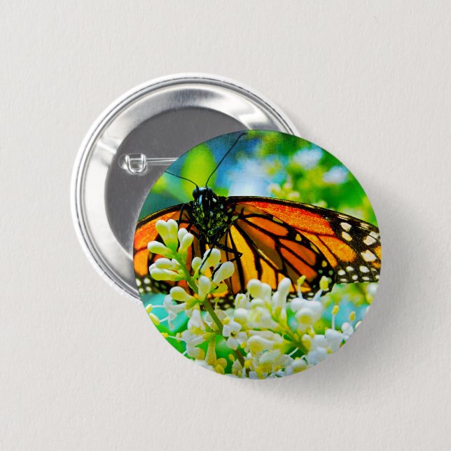 Orangenschmetterling Foto modern und fett Button (Vorne & Hinten)