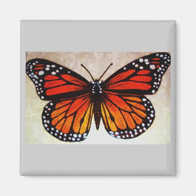 Orangenschmetterling Magnet (Vorne)