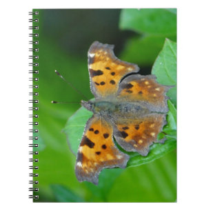 Orangenschmetterling Notizblock