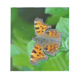 Orangenschmetterling Notizblock