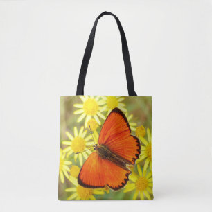 Orangenschmetterling und Blume