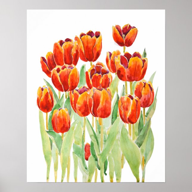 Orangentulpen Blume Aquarell Poster (Vorne)