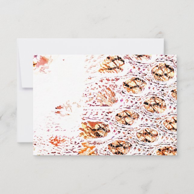 OrangenzellenPrint (Vorderseite)