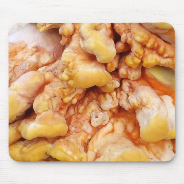 Orangepilz Mousepad (Vorne)