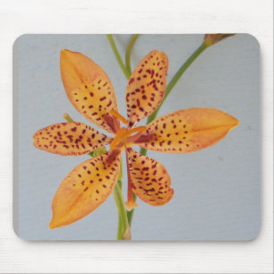 Orangepunktierte Schwertlilie, auch Schwarze Bromb Mousepad