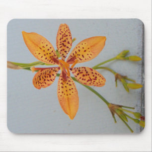 Oranger gefleckte Schwertlilie, auch Schwarze Brom Mousepad