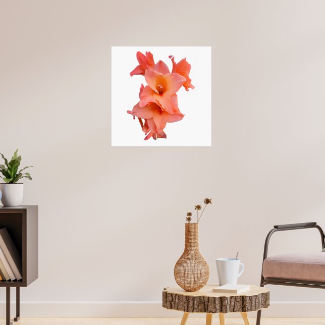 Oranger Gladiolen-Blumen  Poster (Wohnzimmer 3)