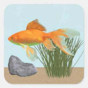 Oranger Goldfisch Natur Aquarium Aufkleberbogen Quadratischer Aufkleber