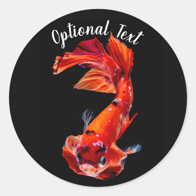 Oranger Koi Kampffisch Runder Aufkleber (Vorderseite)